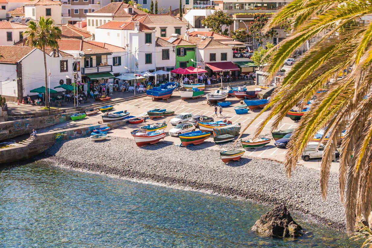 Vineyard Tour Madeira