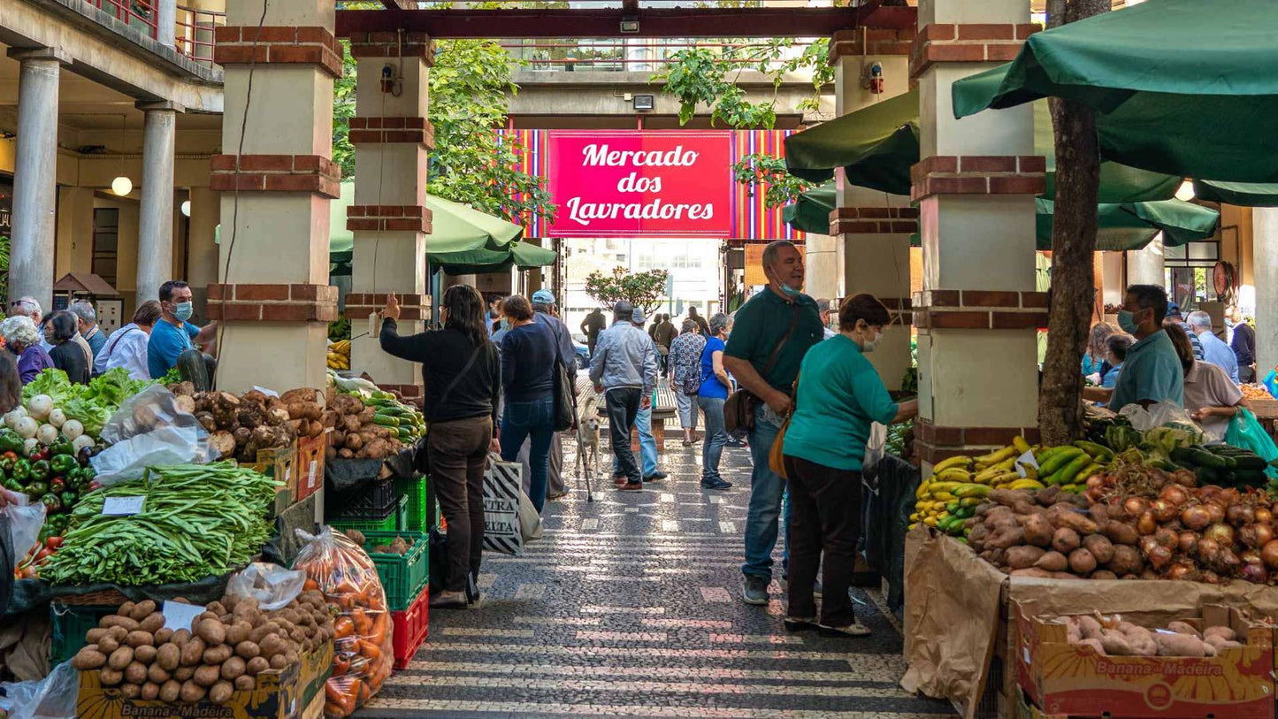 Market & Toboggan & Botanical Gardens Tour