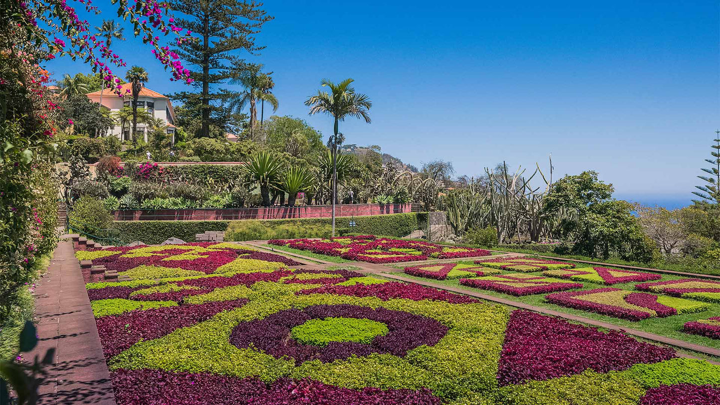 Market & Toboggan & Botanical Gardens Tour